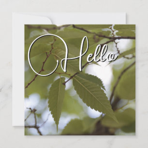 Carte De Correspondance Hello naissance souhaiter bienvenue saluer vert