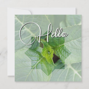 Carte De Correspondance Hello naissance souhaiter bienvenue saluer vert
