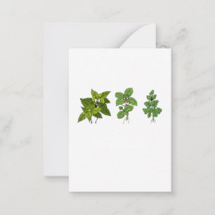 Carte De Correspondance Herbes, thème herbes