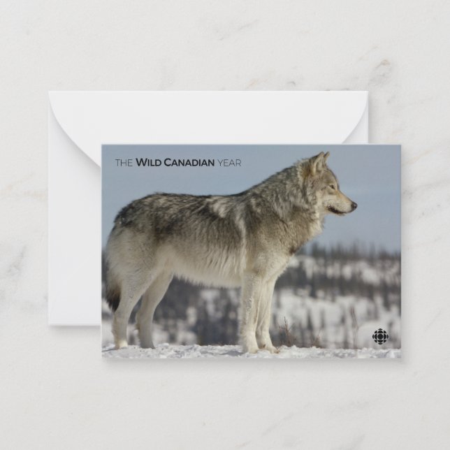 Carte De Correspondance Hiver - Loup (Devant)
