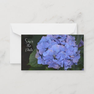 Carte De Correspondance Hydrangea macrophylla violette rustique