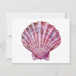 Carte De Correspondance Illustration de coquillage rose d'aquarelle vive