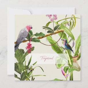 Carte De Correspondance Illustration tropicale du perroquet rose exotique