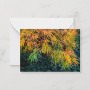Carte De Correspondance Impressions d'automne de l'érable japonais