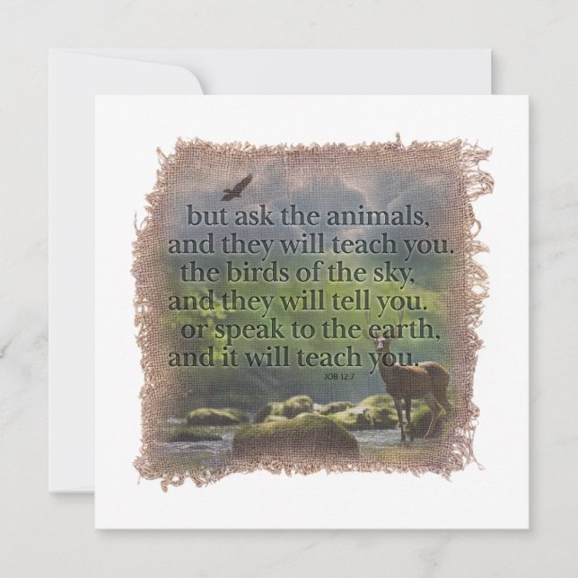 Carte De Correspondance JOB 12:7 - Personalized Notecard (Devant)