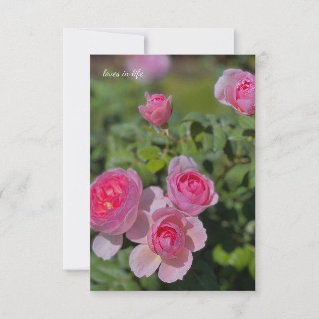 Carte De Correspondance Jolies Roses Rose Pretty (Devant)