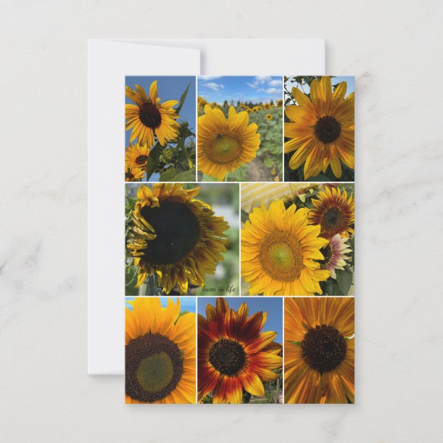 Carte De Correspondance Jours heureux - Collage de tournesol (Devant)