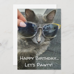 Carte De Correspondance "joyeux anniversaire pawty" drôle photo de chat