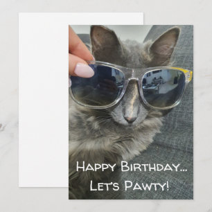 Carte De Correspondance "joyeux anniversaire pawty" drôle photo de chat gr