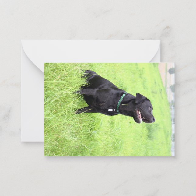 Carte De Correspondance labrador noir LR assis (Devant)