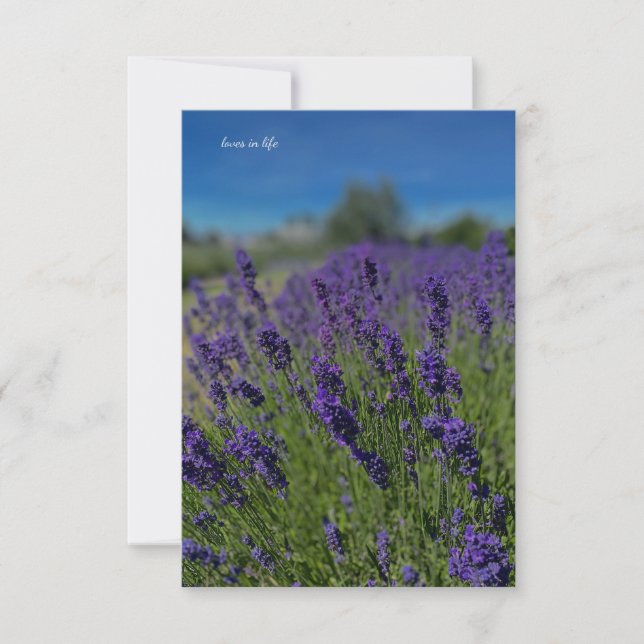 Carte De Correspondance Lavande et Ciel bleu (Devant)