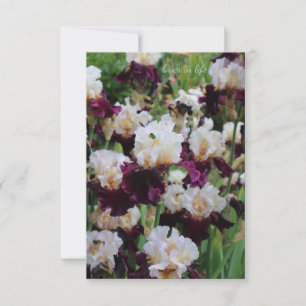 Carte De Correspondance Lit Iris violet et blanc