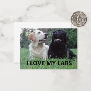 Carte De Correspondance LR I Love My Labs avec photo