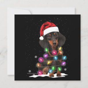 Carte De Correspondance Lumières De Noël Dachshund Avec Neige