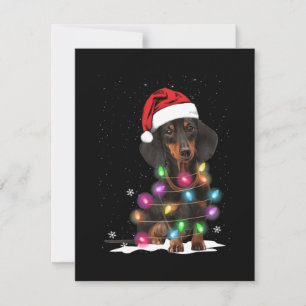 Carte De Correspondance Lumières De Noël Dachshund Avec Neige