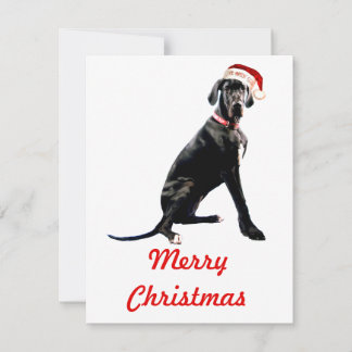 Carte De Correspondance Magnifique Grand Danois au chapeau de Père Noël