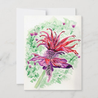 Carte De Correspondance Majestic Bee Balm