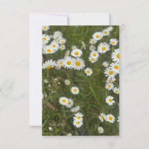 Carte De Correspondance Marguerites