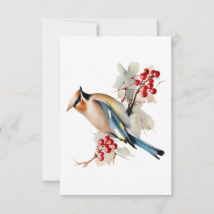 Carte De Correspondance Merci funéraire aux oiseaux blancs bleus, Sympathi