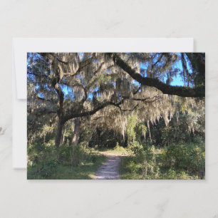 Carte De Correspondance Moss espagnole