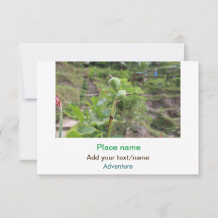 Carte De Correspondance Nature plante photographie plage eau nom de voyage