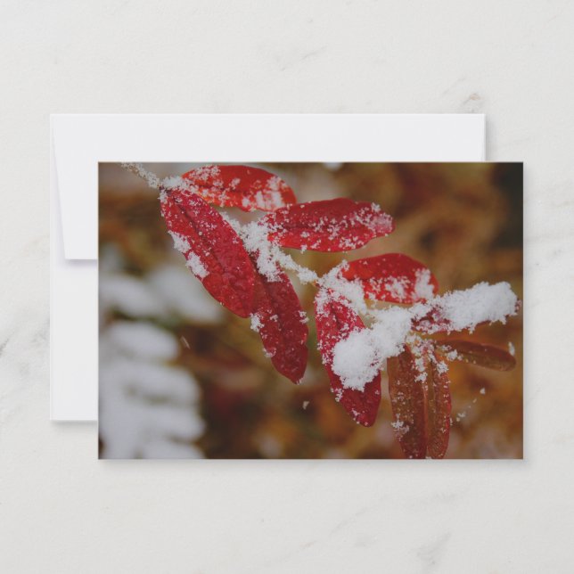 Carte De Correspondance Neige sur feuilles rouges (Devant)