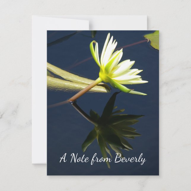 Carte De Correspondance Nénuphar blanc Lotus (Devant)