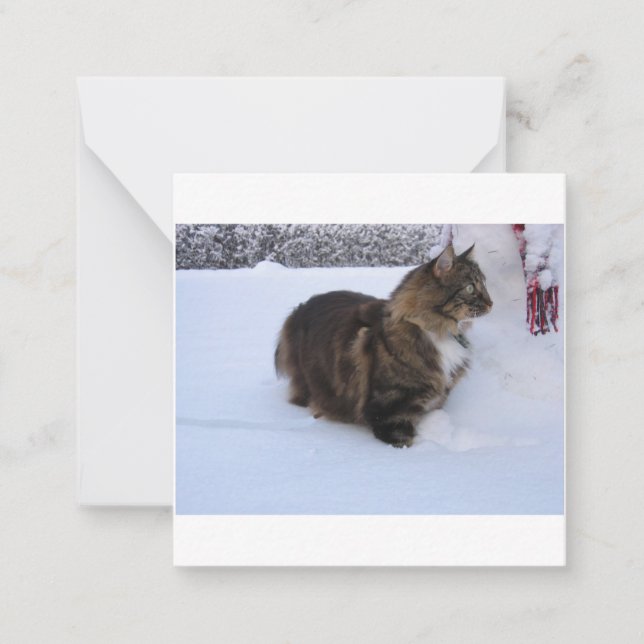 Carte De Correspondance norwegian forest cat in snow (Devant)