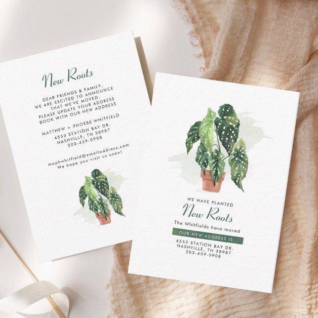 Carte De Correspondance Nouvelles racines déplacer le changement d'adresse (Potted Plant Modern Moving Announcement)