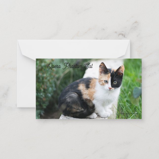 Carte De Correspondance Opera Phantom Chat (Devant)