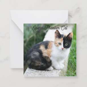 Carte De Correspondance Opera Phantom Chat