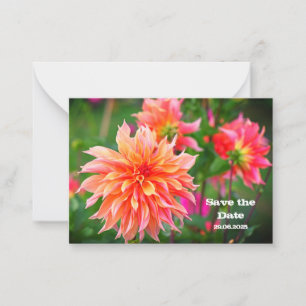 Carte De Correspondance Orange & rose Dahlia Enregistrer la date Anniversa