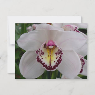Carte De Correspondance Orchidée blanche II Élégante florale