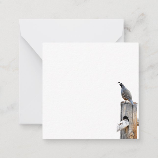 Carte De Correspondance Papier photo Valley Quail (Devant)
