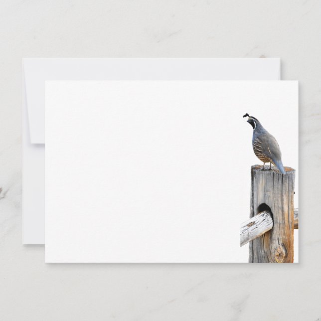 Carte De Correspondance Papier photo Valley Quail (Devant)