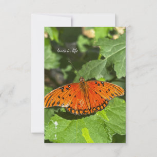 Carte De Correspondance Papillon orange