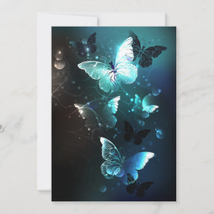 Carte De Correspondance Papillons de nuit