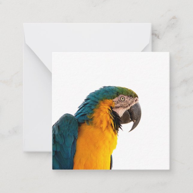 Carte De Correspondance Parrot Post-it Notes (Devant)