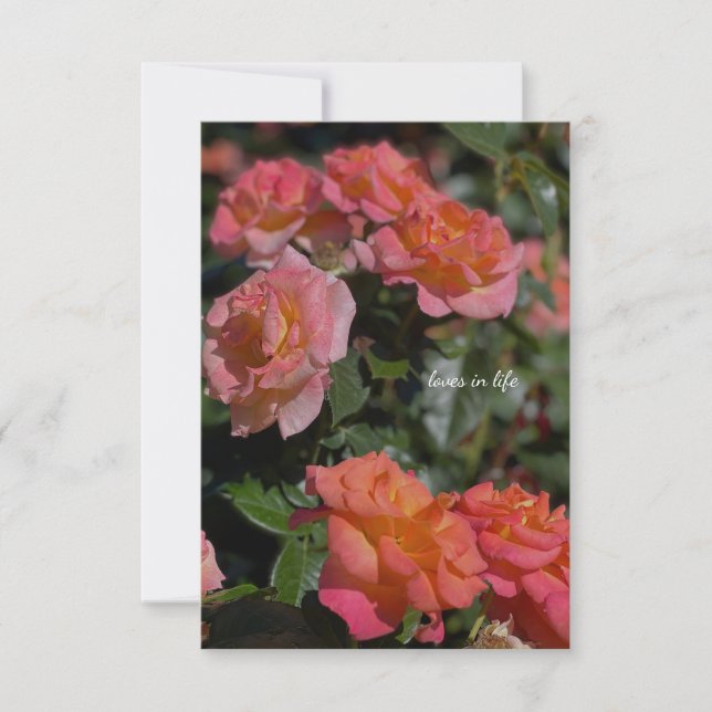 Carte De Correspondance Peachy, Roses Saumon de couleur (Devant)