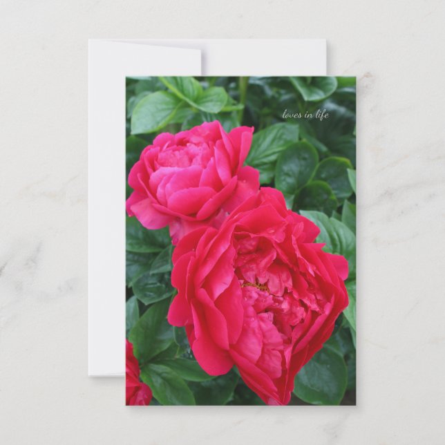 Carte De Correspondance Peine rose rougeâtre (Devant)