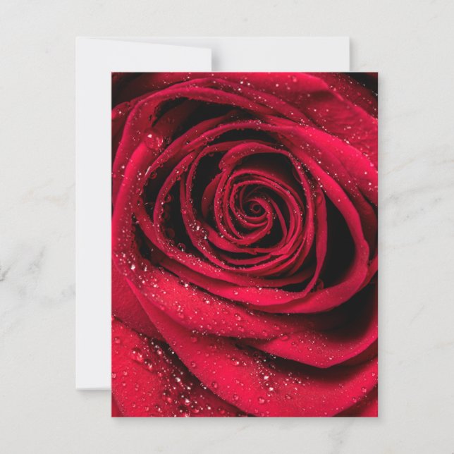 Carte De Correspondance Pétales roses 1 (Devant)