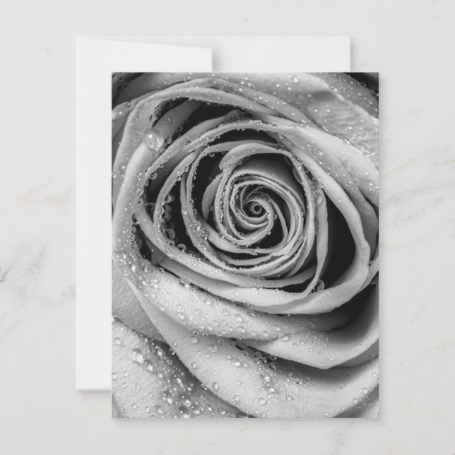 Carte De Correspondance Pétales roses 5 (Devant)