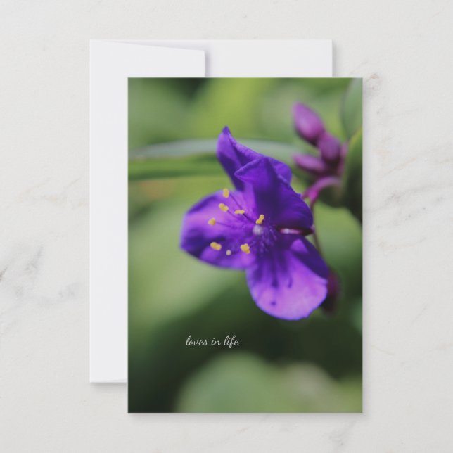 Carte De Correspondance Petite fleur violette vers le haut (Devant)