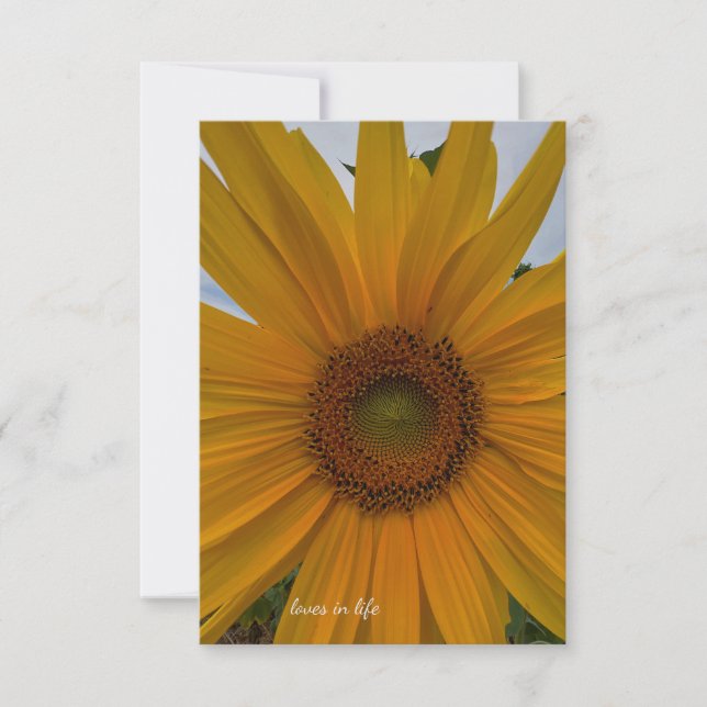 Carte De Correspondance Petite tournesol (Devant)