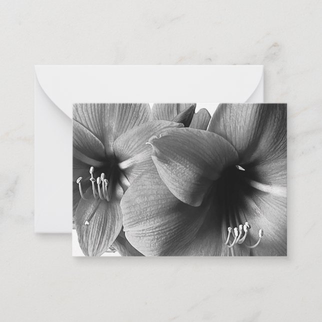 Carte De Correspondance Photo de deux fleurs d'Amaryllis (Devant)