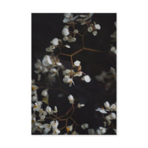 Photo floral élégant et nom personnalisé