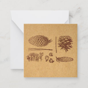 Carte De Correspondance Pinecone d'art Vintage