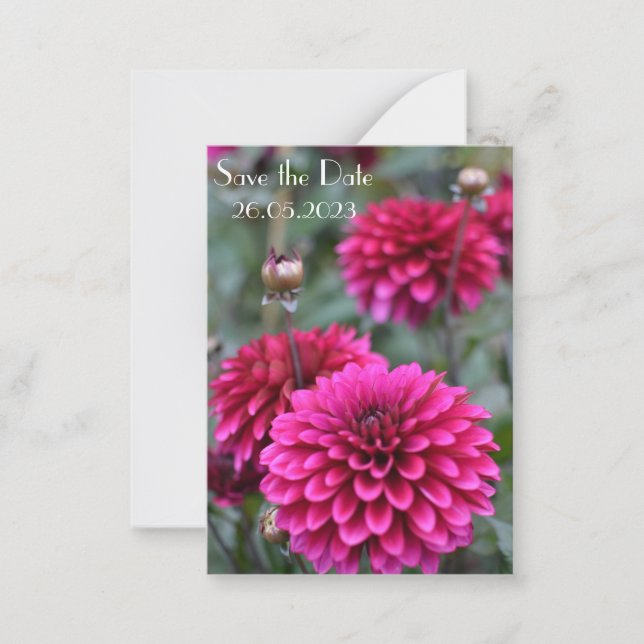 Carte De Correspondance Pink Dahlia Floral Photographie Enregistrer la dat (Devant)