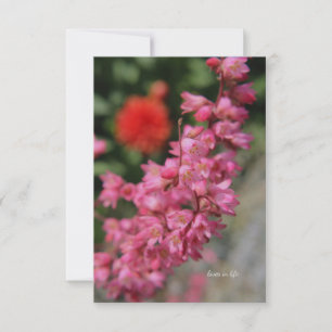 Carte De Correspondance Pink Heuchera