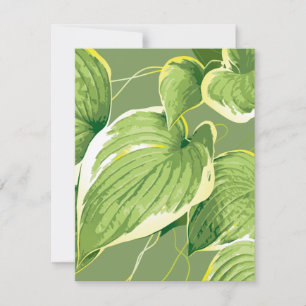 Carte De Correspondance Plante de ficus 5